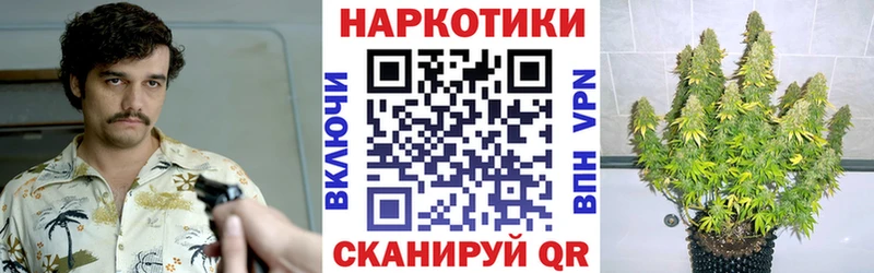 Где купить Кимовск А ПВП Марихуана Меф ГАШ КОКАИН