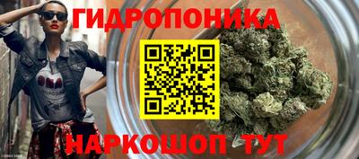 spice Бузулук