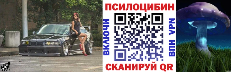 ссылка на мегу ссылки Кимовск Псилоцибиновые грибы Cubensis