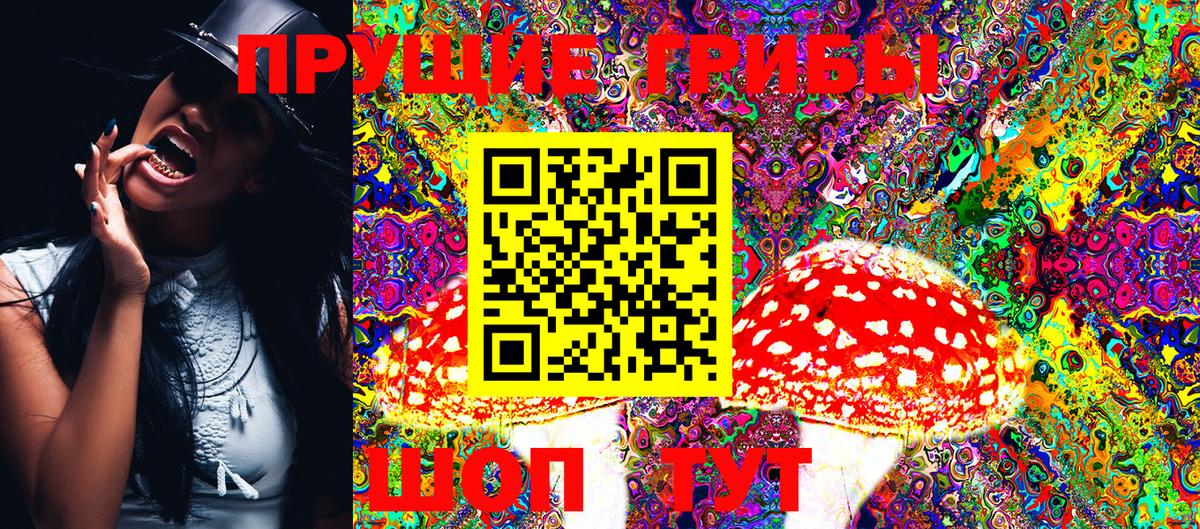 Кимовск  Псилоцибиновые грибы Cubensis  Вход с VPN 